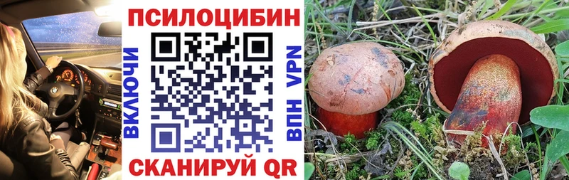 Галлюциногенные грибы мицелий  Новотитаровская 