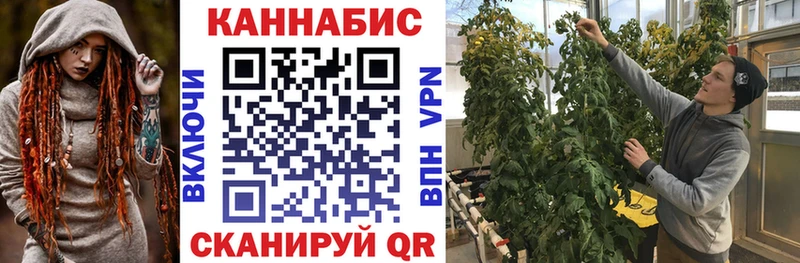 кракен ТОР  Новотитаровская  Конопля LSD WEED 